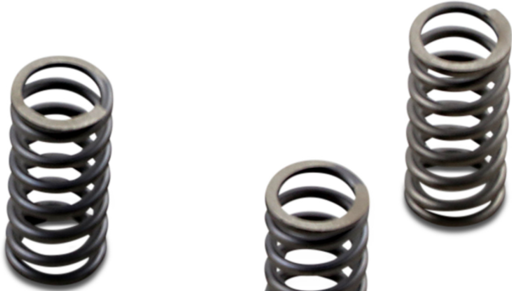 Heavy Duty Clutch Springs M8 Models - Cafes Customs LLC